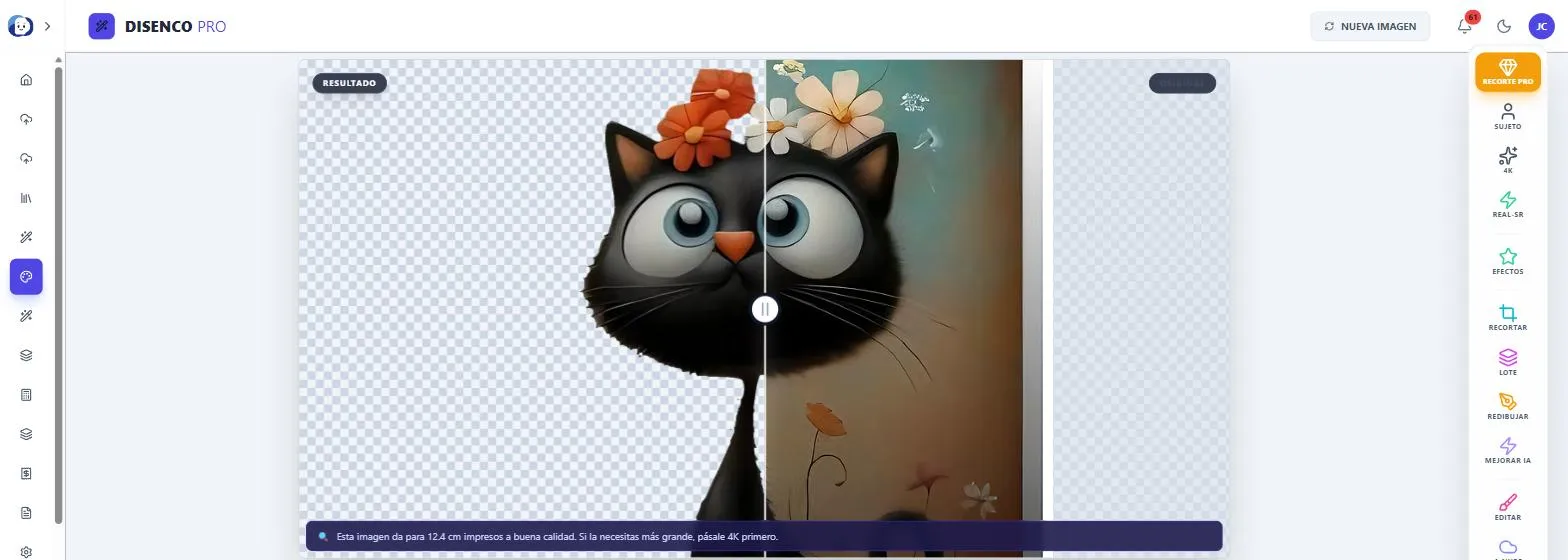 Pro Studio IA